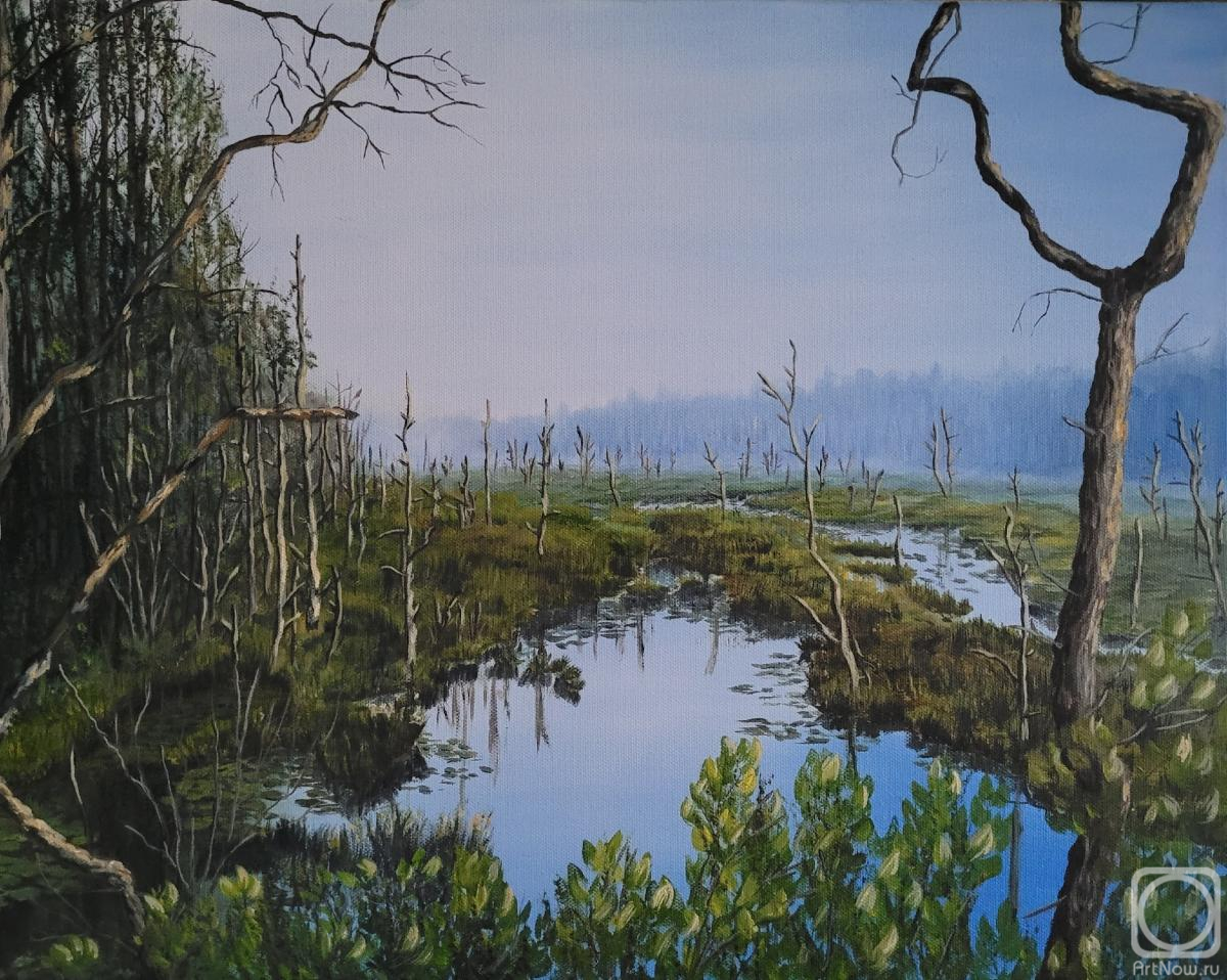 Veuz Olga. Landscape