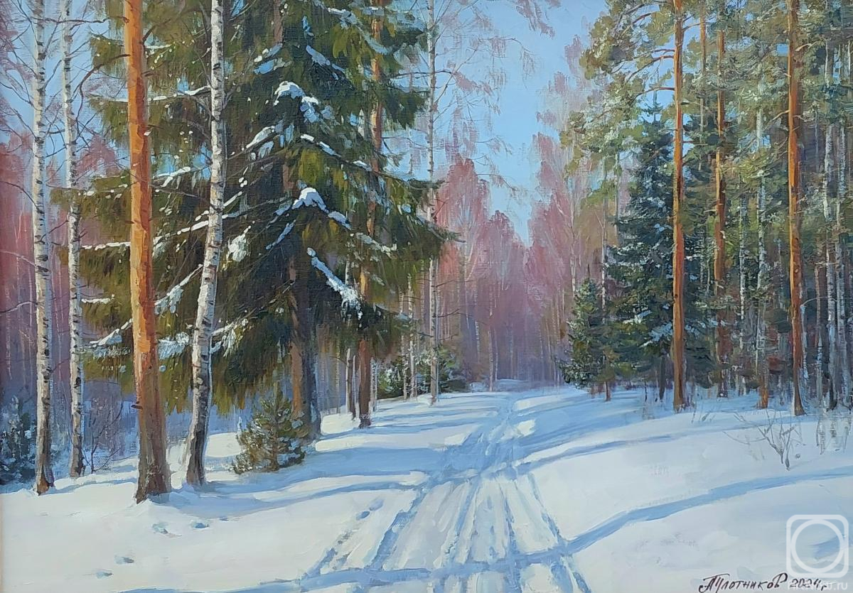 Plotnikov Alexander. Winter Trails