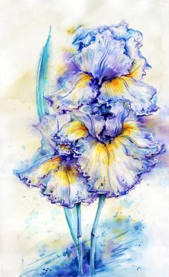 Blue irises. Romanova Aleksandra