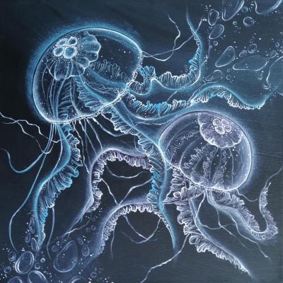 Jellyfish. Kildysh Marina