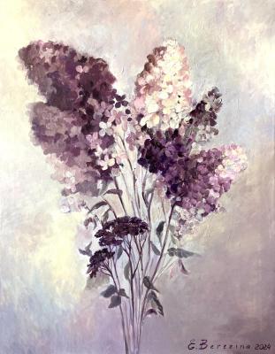 Winter Hydrangea (Hydrangea Flowers). Berezina Elena