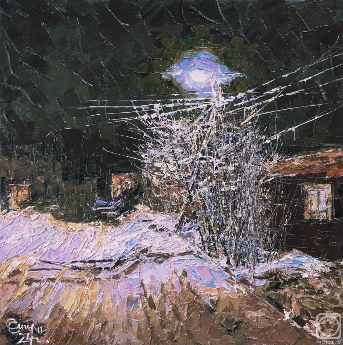 Smirnov Sergey. Lighting lantern on a night street