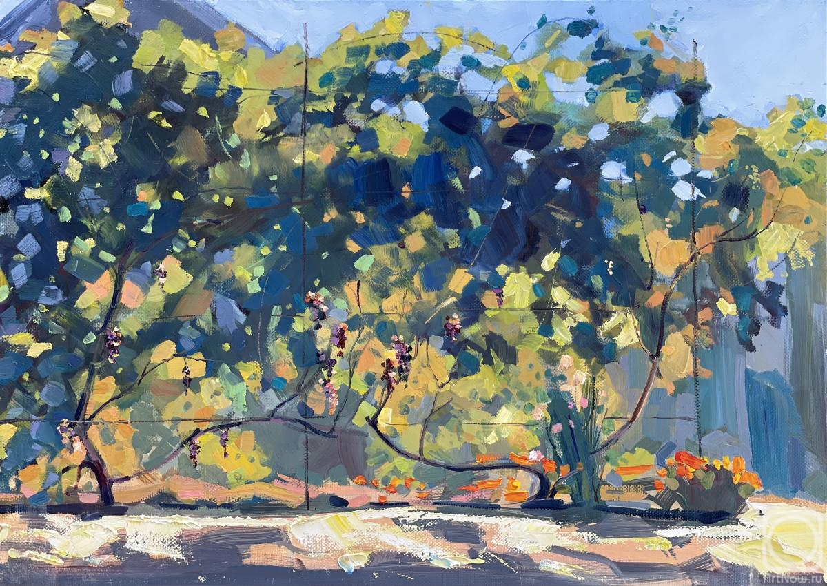 ������� ������ �� ������. �������� ������. ��������