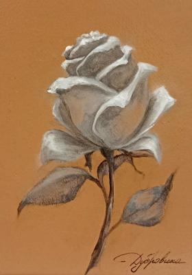 ������� ����� (����)�