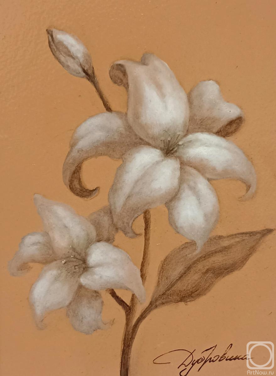 �������. ��������� ����. ����� (����)