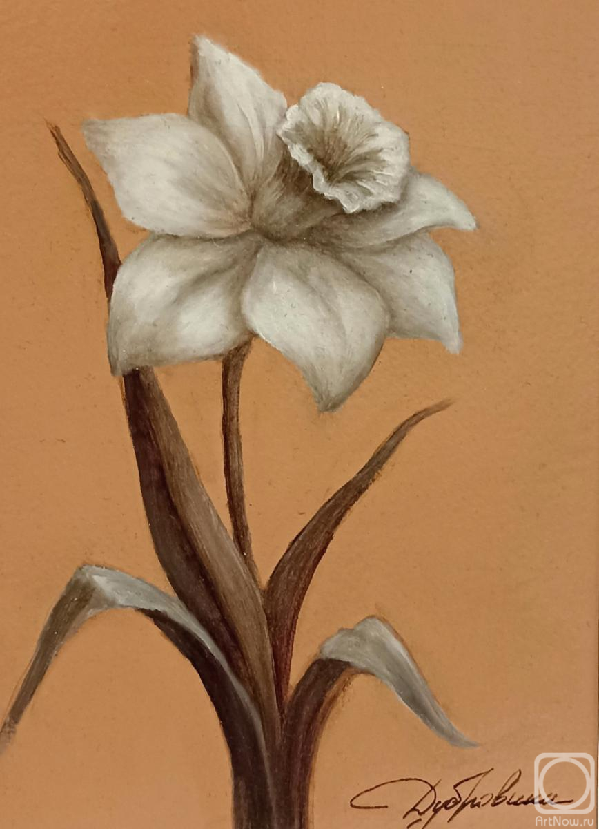 �������. ��������� ����. ���� ������� (����)