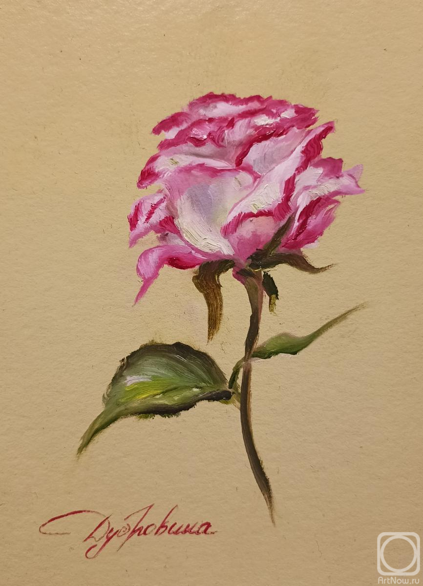 �������. ��������� ����. ����� ���� (����)