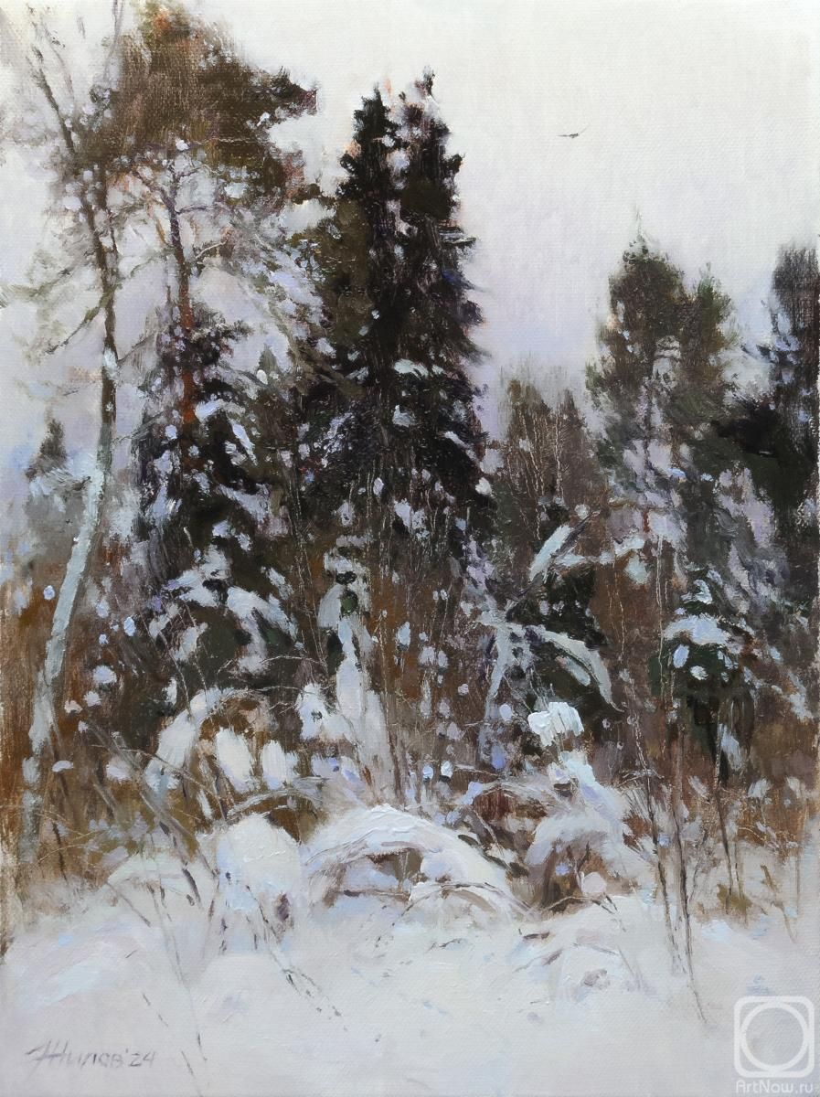 Zhilov Andrey. A week before spring