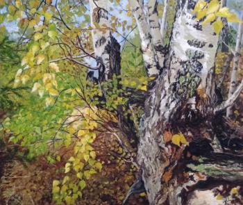 In the autumn forest (Fallen Leaves). Tsygankov Alexander