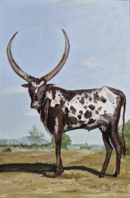 Watushi. African cow. Asanova Sofya