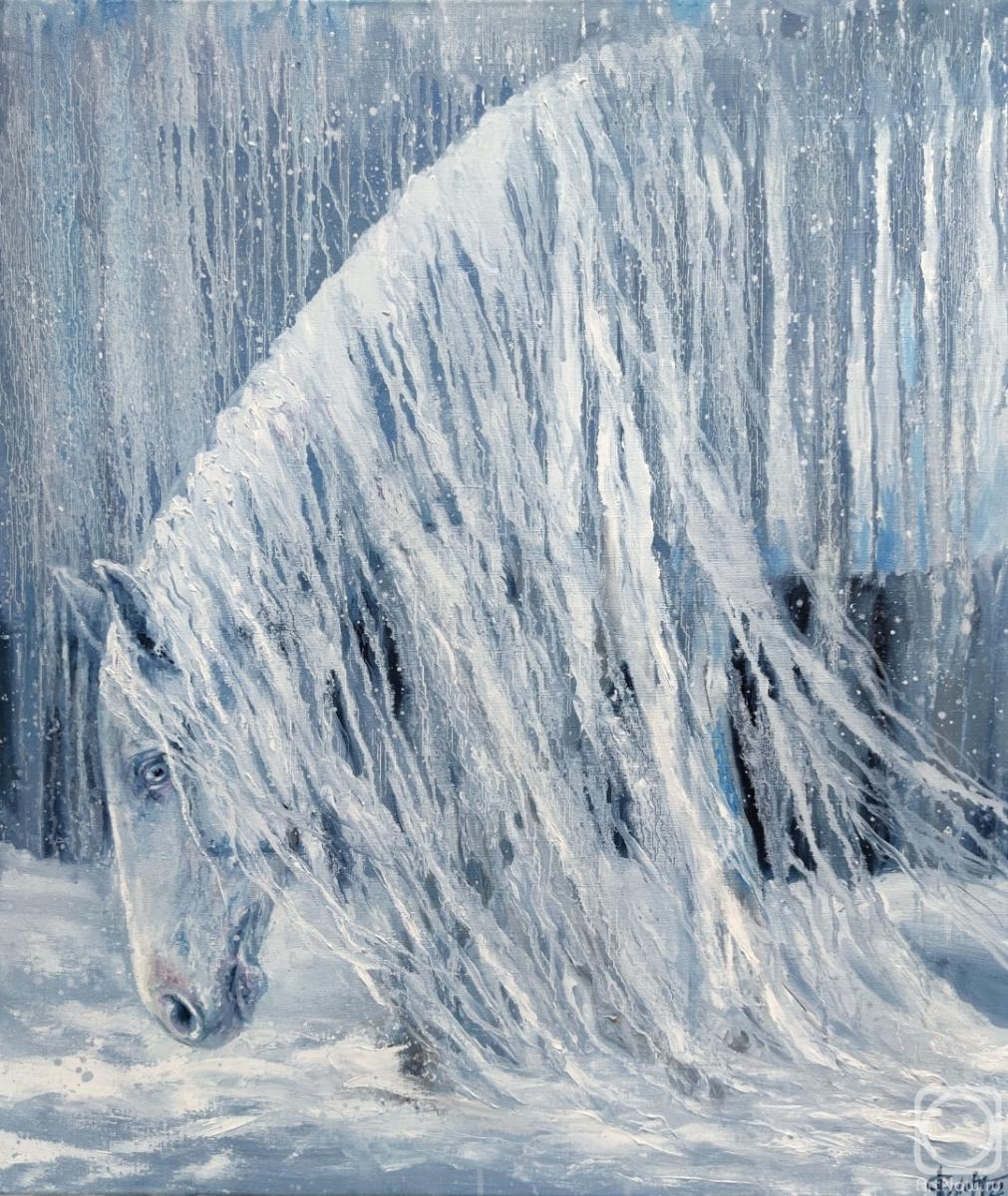 ������� ������ �� ������. ������ �������. ���� ����