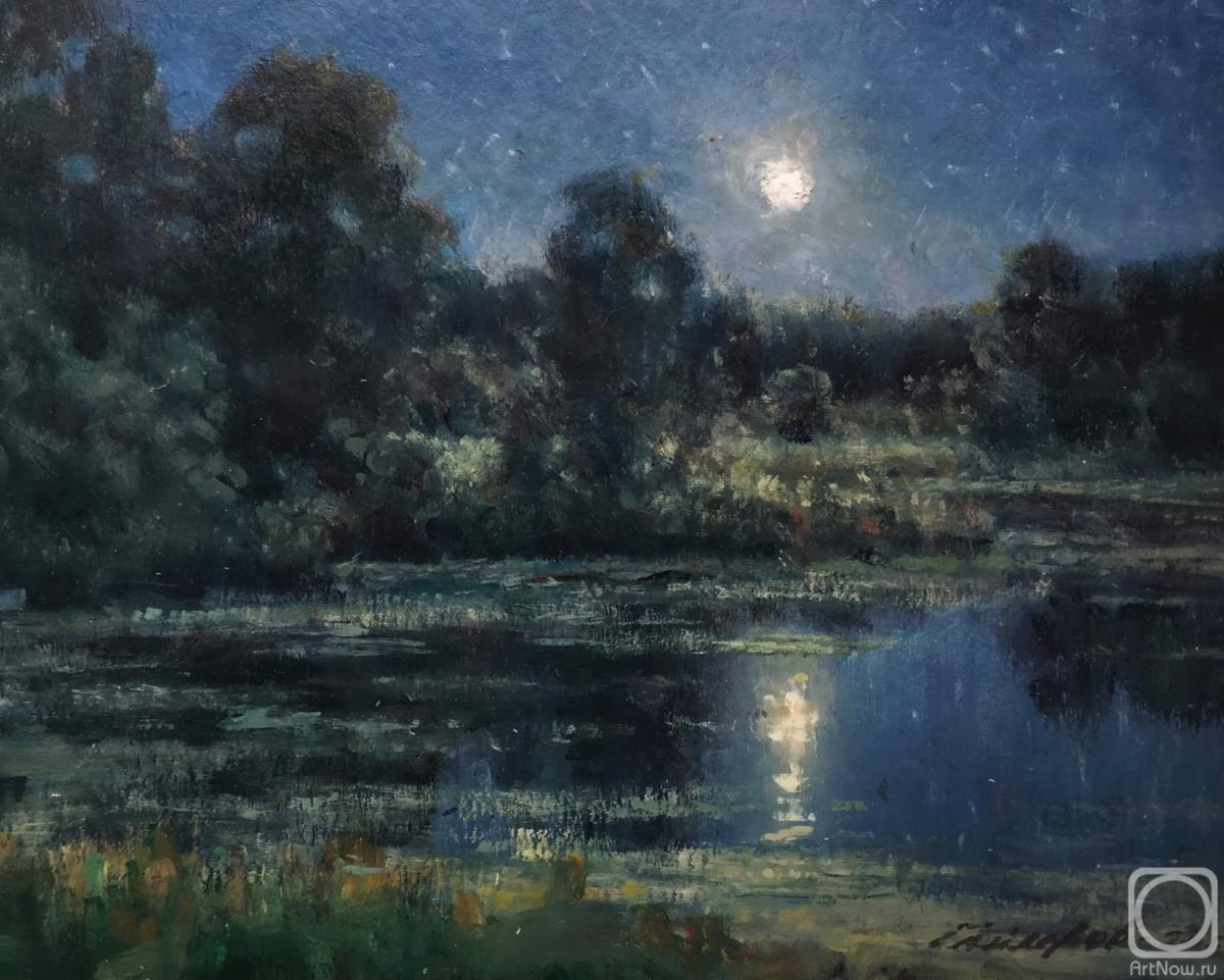 Gaiderov Michail. Moonlit Night