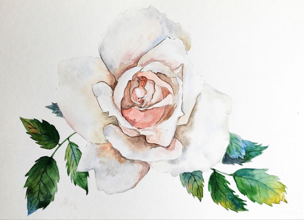 Lapina Albina. White Rose