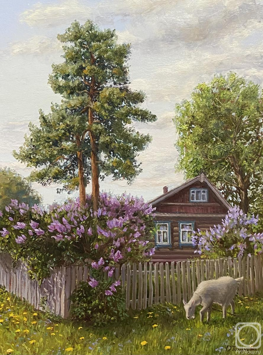 Tikunova Olga. Lilac blossomed at home