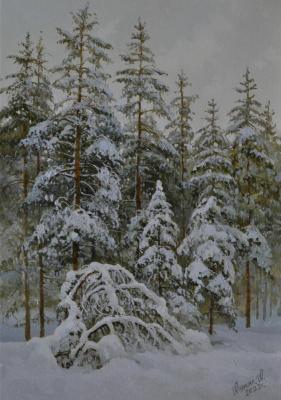 In the realm of snowy dreams (Pines In Winter). Anikin Aleksey