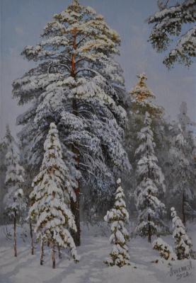 The Snow Queen (Beauty Of Winter Day). Anikin Aleksey