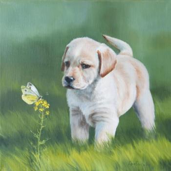 A puppy and a butterfly (Puppy Of A Labrador). Kravchenko Yuliya