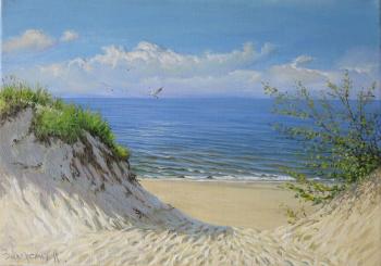 Landscape, seascape. Zaborskih Igor