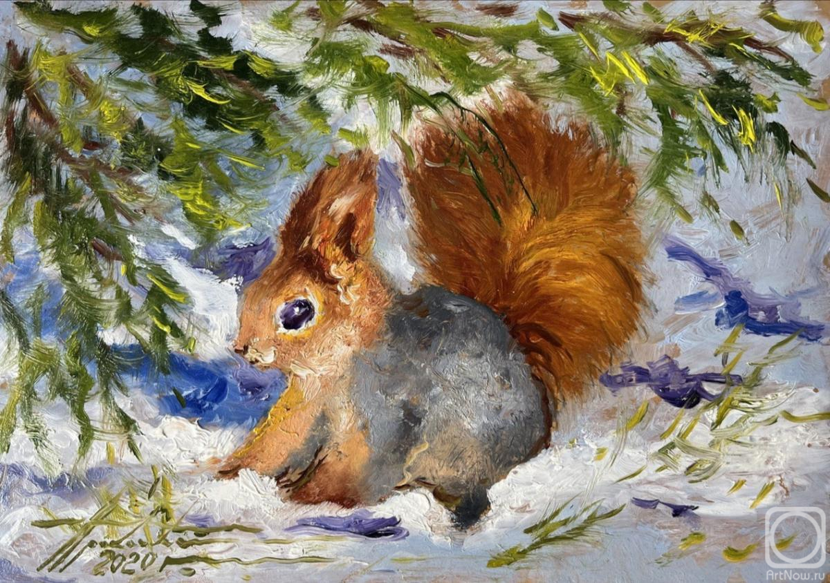 Prokaeva Galina. Squirrel in March