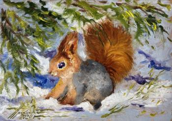 Squirrel in March. Prokaeva Galina