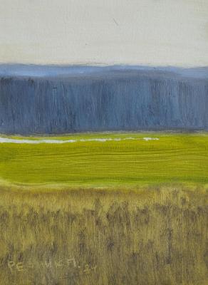 Flood field near the Bolshoy Nesvetay River (etude)