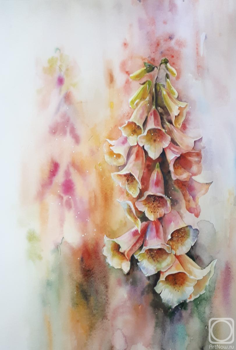 �������. ��������� �������. �����������