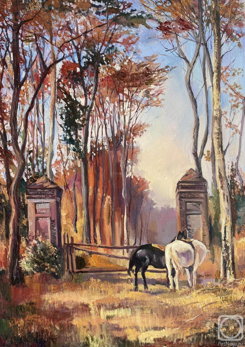 ������� ������ �� ������. ��������� �����. ����� � �����