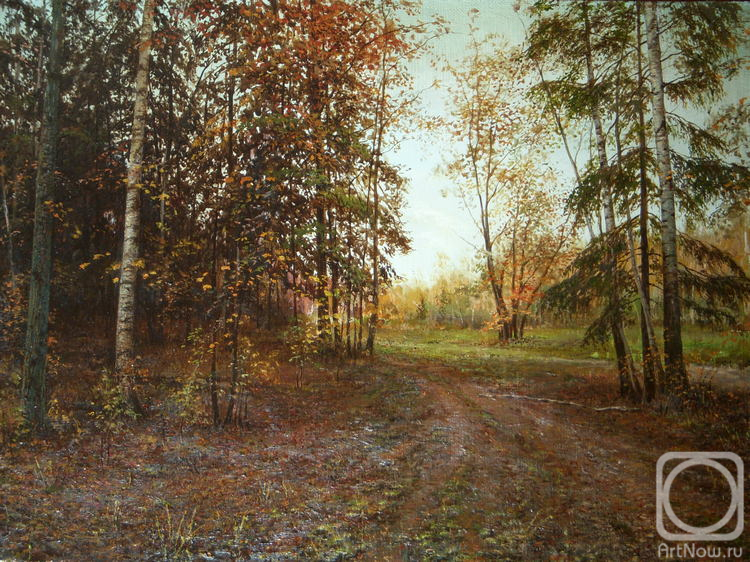 Tolstikov Witaliy. Path in the forest