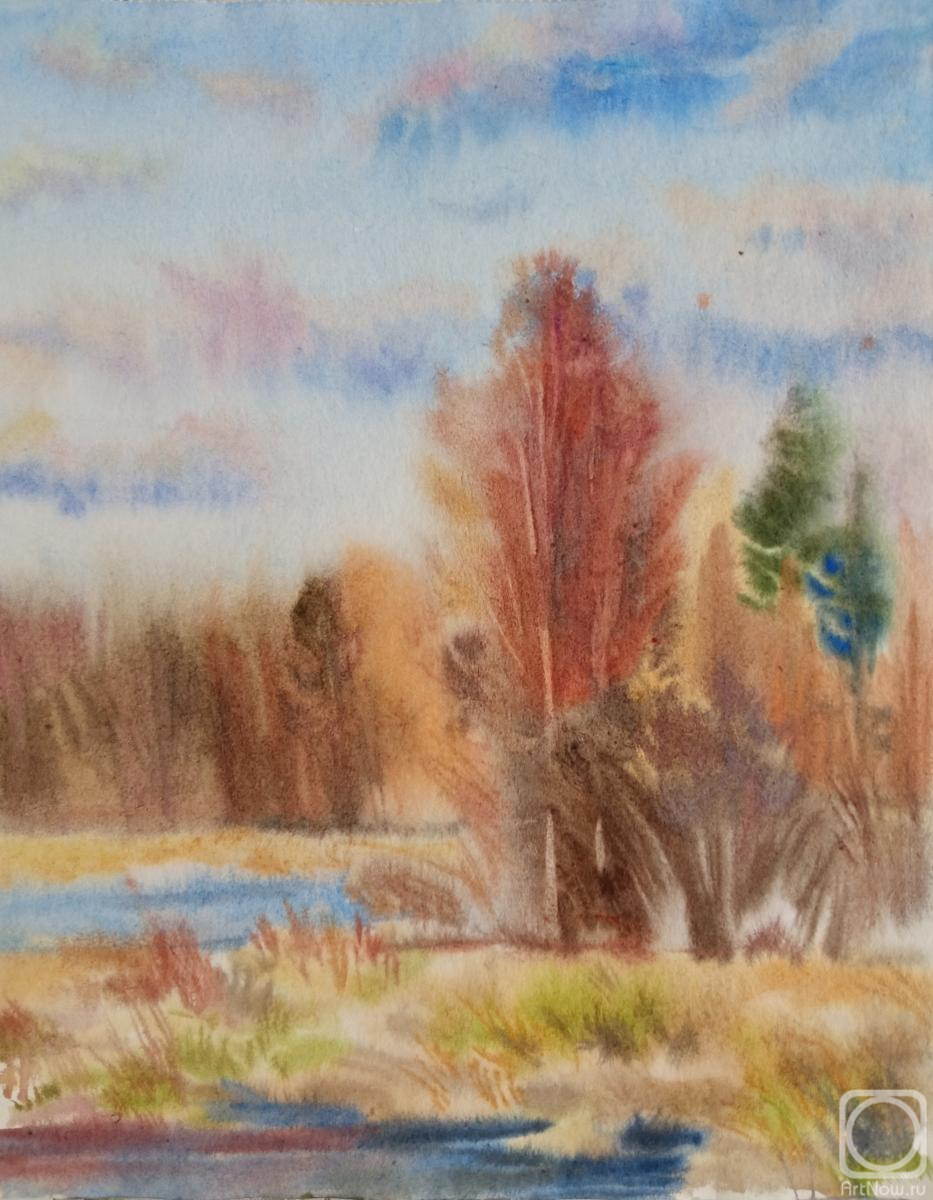 Goryushkina Anastasiya. The beginning of spring