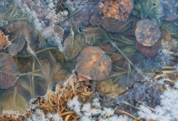 Leaves under the ice. Kiselevich Gennadiy