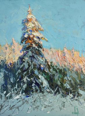 ������ ���������. ���������� �������