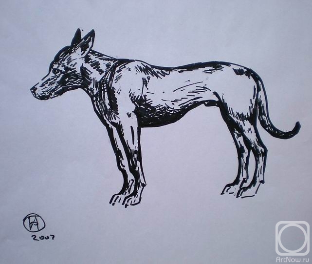 �������. ������� �����. ������