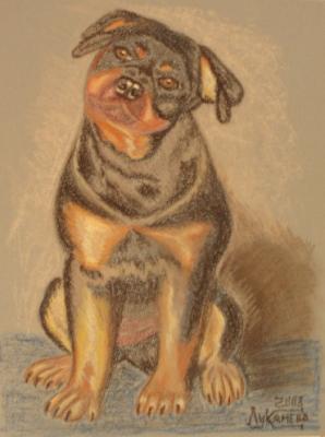 ������� �� ��� ������!�