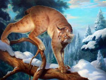 ������� ����� �3�