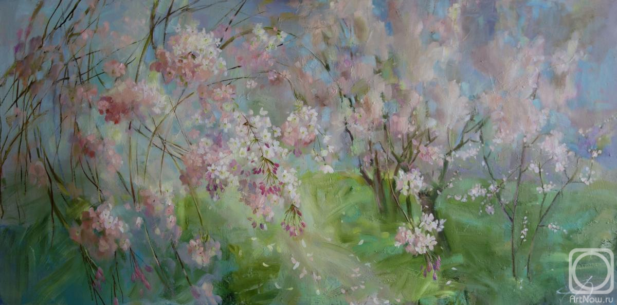 Anisimova Galina. Cherry blossoms