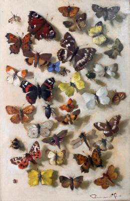Butterfly Collection. Vostrezova Anastasia