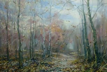 Along the soft paths of autumn (Paths In The Park). Zaharov Dmitriy