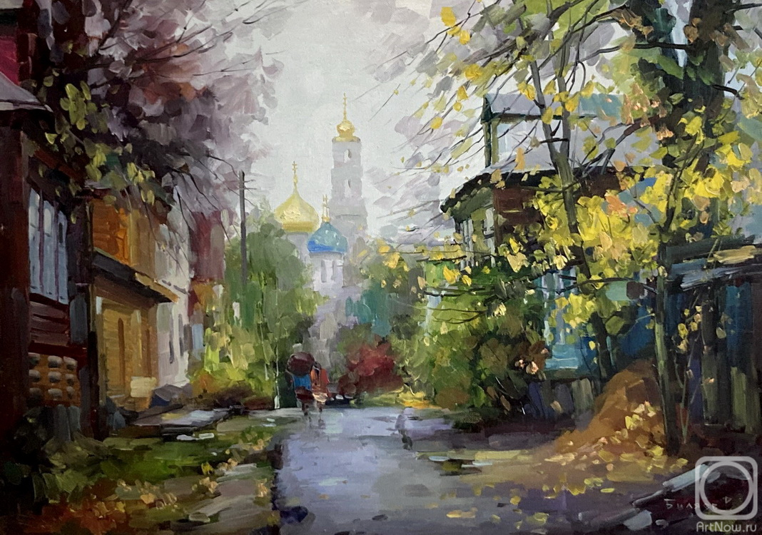 Bilyaev Roman. Rainy day!