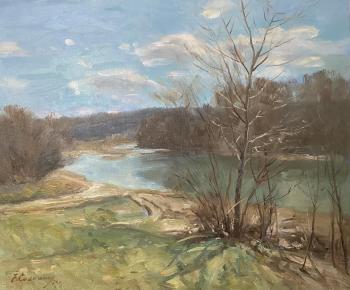 Early spring on the Afips River