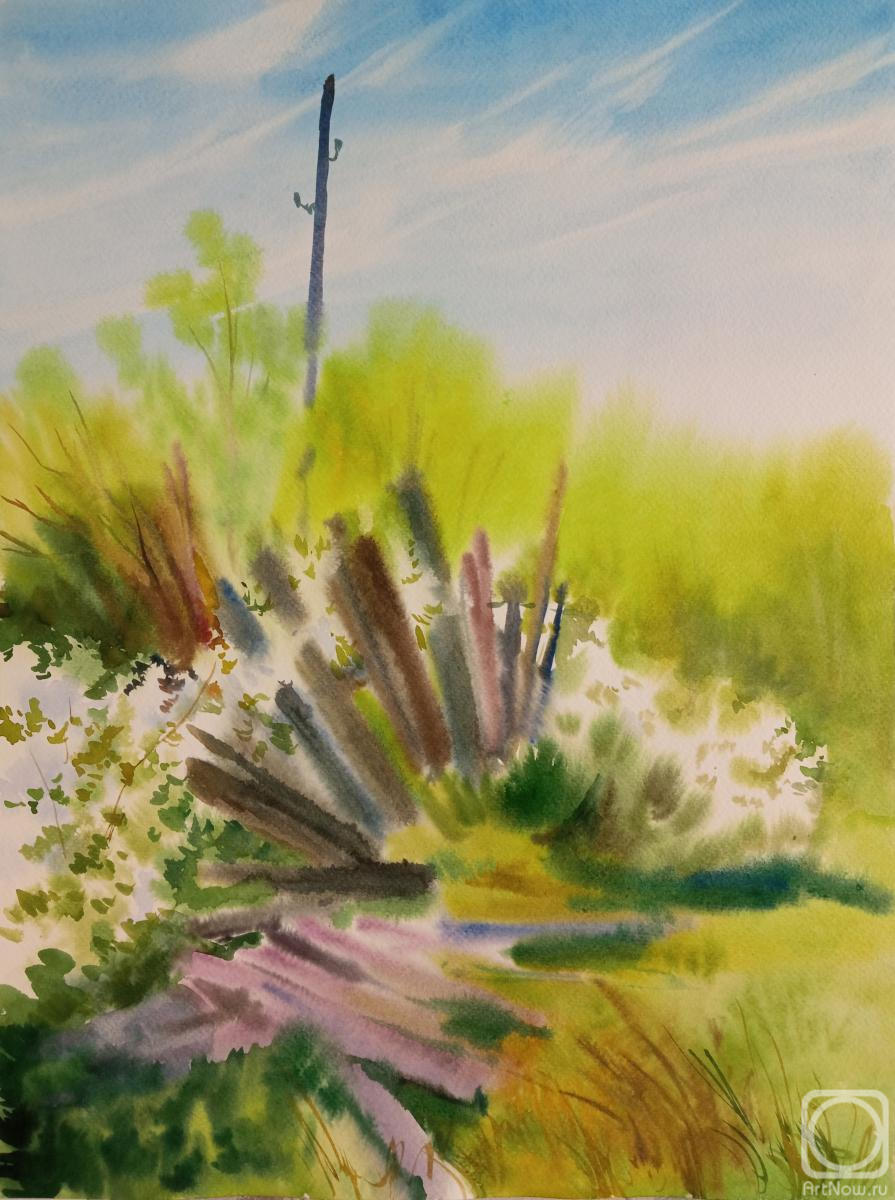 Goryushkina Anastasiya. The old cottage