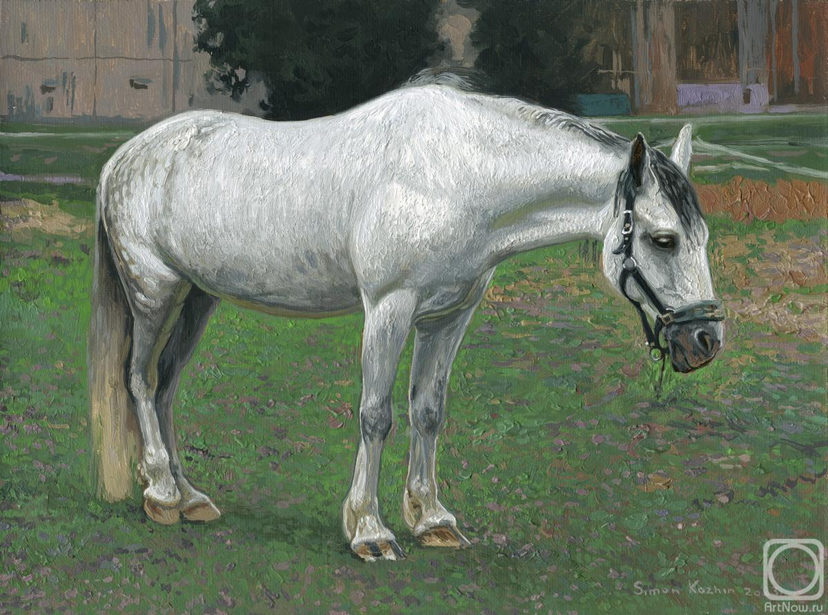 Kozhin Simon. White Horse