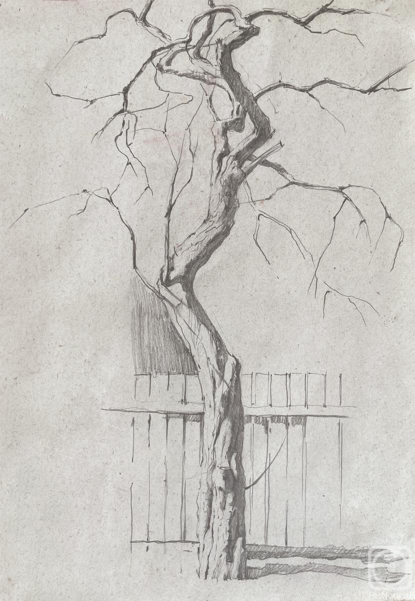 �������. �������� �����. ���������� ������