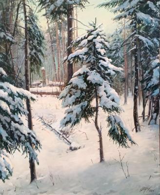 Snow coat (A Picture Landscape). Mukhin Boris