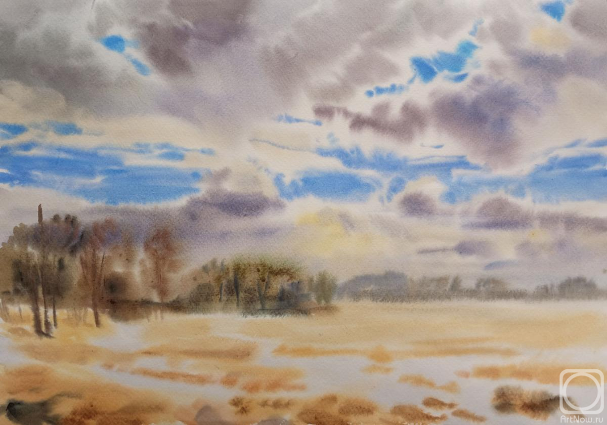 Goryushkina Anastasiya. The last snow