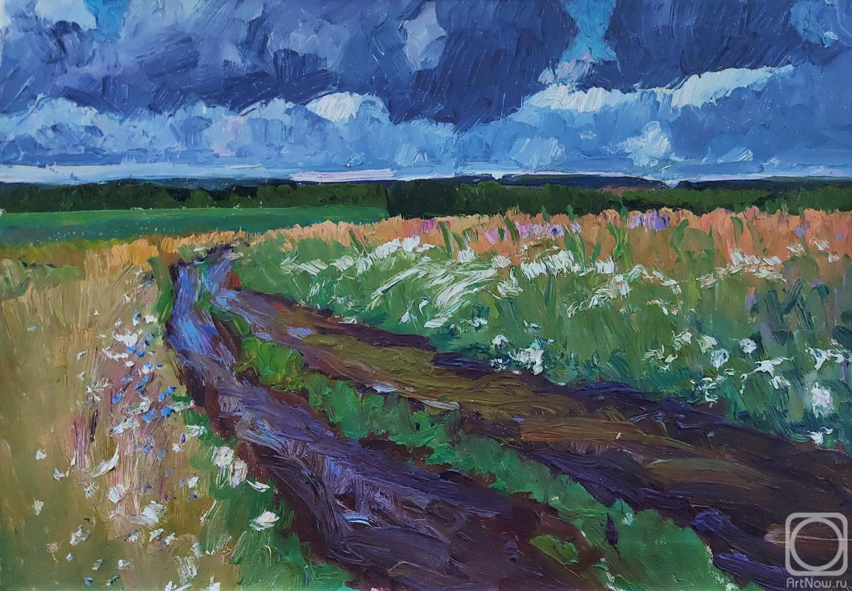 Melnikov Aleksandr. Rains. The road through the fields