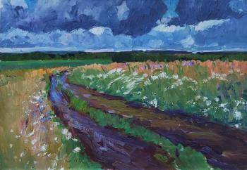 Rains. The road through the fields. Melnikov Aleksandr