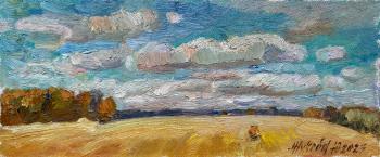 Clouds over the field (The Expanse). Zhukova Juliya