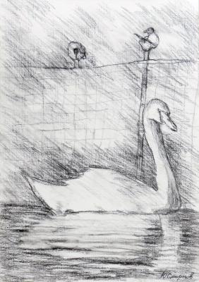 Swan and two birds. Smirnov Yuriy