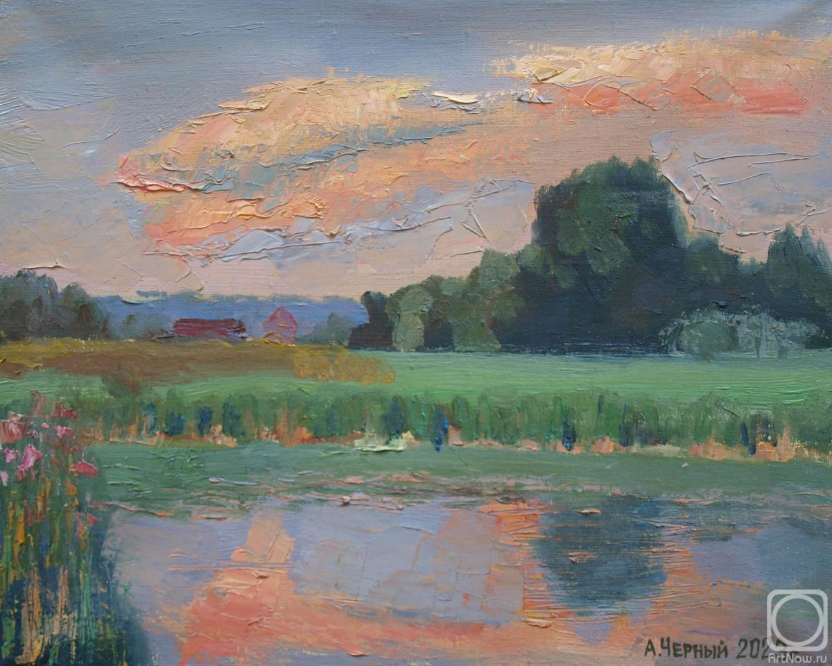 Chernyy Alexandr. An evening cloud.Kolychevsky pond