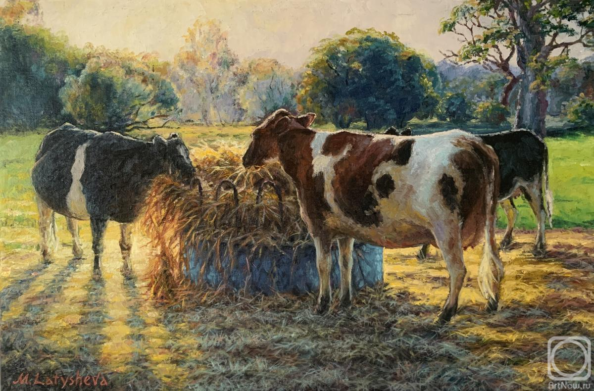 Latysheva Maria. Cows in the evening